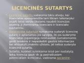 Verslo licencija 9 puslapis
