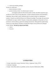 Rato ir padangos paskirtis, sandara ir veikimo principas 6 puslapis