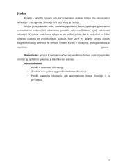 Apgyvendinimo formos Kroatijoje 2 puslapis