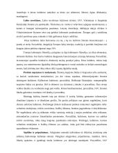 Kultūros įtaka vartotojų elgsenai 11 puslapis