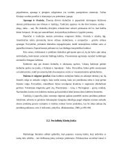 Kultūros įtaka vartotojų elgsenai 12 puslapis