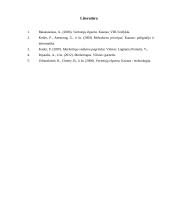 Kultūros įtaka vartotojų elgsenai 16 puslapis