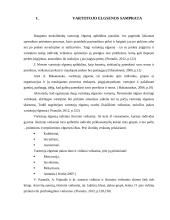 Kultūros įtaka vartotojų elgsenai 4 puslapis