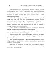 Kultūros įtaka vartotojų elgsenai 6 puslapis