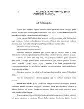 Kultūros įtaka vartotojų elgsenai 9 puslapis