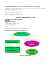 Civilinė teisė (bendroji dalis)  11 puslapis