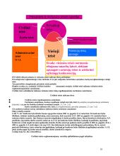 Civilinė teisė (bendroji dalis)  10 puslapis