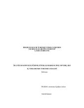 Šilutės rajono kultūrinių išteklių rekreacinių savybių bei jų tinkamumo turizmui analizė 2 puslapis