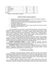 Šilutės rajono kultūrinių išteklių rekreacinių savybių bei jų tinkamumo turizmui analizė 6 puslapis