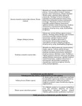 Šilutės rajono kultūrinių išteklių rekreacinių savybių bei jų tinkamumo turizmui analizė 9 puslapis