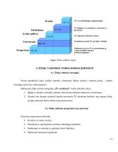 Žinių vadyba viešbutyje ir restorane „Dvaras“ 12 puslapis