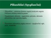Augalų karalystė. Biologija 15 puslapis