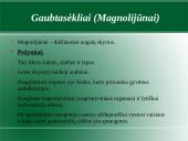 Augalų karalystė. Biologija 17 puslapis