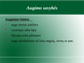 Augalų karalystė. Biologija 19 puslapis