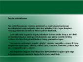 Augalų karalystė. Biologija 20 puslapis