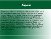 Augalų karalystė. Biologija 4 puslapis