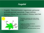 Augalų karalystė. Biologija 5 puslapis
