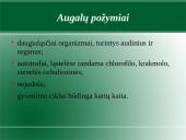 Augalų karalystė. Biologija 7 puslapis