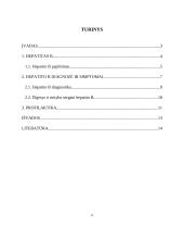 Hepatitas B 2 puslapis