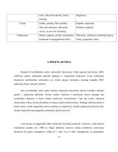 Hepatitas B 11 puslapis