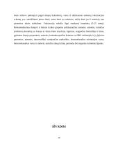 Hepatitas B 12 puslapis