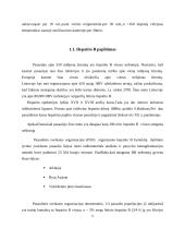 Hepatitas B 5 puslapis