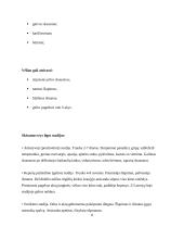 Hepatitas B 8 puslapis