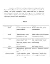 Hepatitas B 10 puslapis