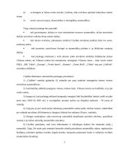 Inovacija paslaugų sferoje: „Citybee“ dalinimosi automobiliu paslauga 3 puslapis