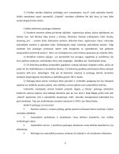 Inovacija paslaugų sferoje: „Citybee“ dalinimosi automobiliu paslauga 4 puslapis