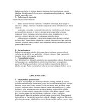 Anatomijos egzamino klausimai ir atsakymai 12 puslapis