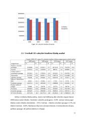 2008-2011m. Valstybės biudžeto analizė 11 puslapis
