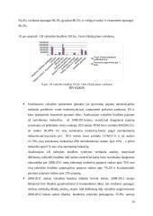 2008-2011m. Valstybės biudžeto analizė 19 puslapis