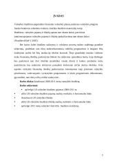 2008-2011m. Valstybės biudžeto analizė 3 puslapis