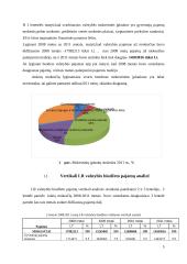 2008-2011m. Valstybės biudžeto analizė 5 puslapis