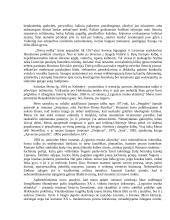 ŽMONIŠKUMO IŠBANDYMAI BALIO SRUOGOS IR ICCHOKO MERO ROMANUOSE 2 puslapis