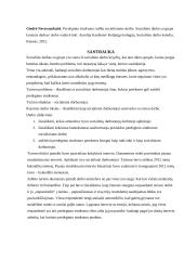 Perdegimo sindromo raiška socialiniame darbe  2 puslapis