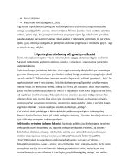 Perdegimo sindromo raiška socialiniame darbe  11 puslapis