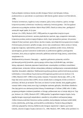 Perdegimo sindromo raiška socialiniame darbe  16 puslapis