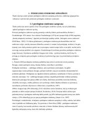 Perdegimo sindromo raiška socialiniame darbe  7 puslapis