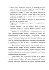 Konfliktai. Referatas 4 puslapis