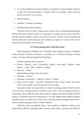 Turizmo infrastruktūros situacijos Vilkaviškio rajone analizė 13 puslapis