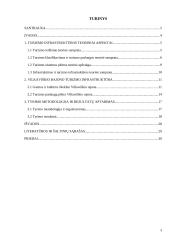 Turizmo infrastruktūros situacijos Vilkaviškio rajone analizė 2 puslapis