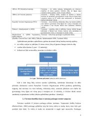 Turizmo infrastruktūros situacijos Vilkaviškio rajone analizė 5 puslapis