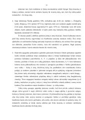 Teisinė pagalba asmenims patyrusiems smurtą 11 puslapis