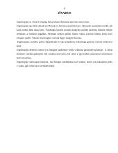 Ergoterapija. Referatas 11 puslapis