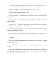 Ergoterapija. Referatas 8 puslapis