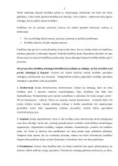 Konflikto samprata, konflikto šaltiniai 3 puslapis