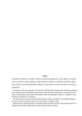 Atmosfera, jos sudėtis, atmosferoje vykstantys reiškiniai 3 puslapis