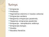 Emigracija. Pristatymas 2 puslapis